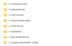 哪个抖音版本最赚钱？如何选择高收益版本？