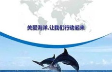 如何成功跨越海洋，实现海外创收的秘诀？