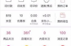 如何在京东店铺有效提升流量并实现盈利？