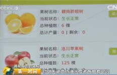 哪些水果游戏能让你轻松盈利？你真的了解吗？