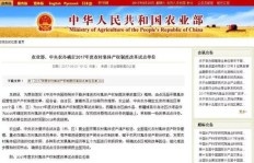 在农村开设哪种类型的商场更容易盈利？