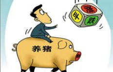 大老板投身建筑行业，究竟赚不赚钱？