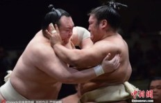 女生在日本相扑专业能赚多少钱？前景如何？