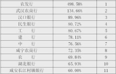 哪家次贷公司盈利能力最强？