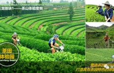 农村小农场如何科学经营实现盈利？