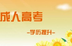 制剂专业人才适合从事哪些副业？