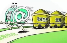 在家经营农村电商，真的能实现盈利吗？