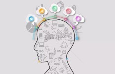 为何学编程的副业难以起步？你遇到了哪些挑战？