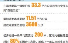 全民热衷计步，真的能转化为实际收益吗？