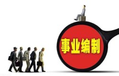 全额事业编制人员能否合法从事副业？政策边界在哪里？