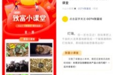 火山小视频真的能实现财富增长吗？