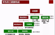琴行经营为何难以盈利？背后原因究竟是什么？