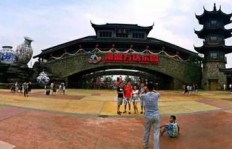 上海迪士尼如何实现盈利？背后经营策略是什么？