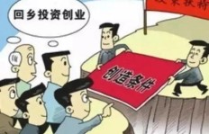 90后回乡创业，有哪些赚钱好项目值得尝试？