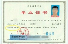 学历类别如何区分？本科学历属于哪一类？