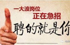 农村清晨如何开启致富之门？早上有哪些赚钱良机？