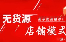 无货源卖家如何精准选品？掌握商品类目与细节的秘诀！