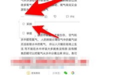 如何通过拍摄违章行为实现盈利？合法途径还是灰色地带？