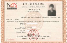 如何考取美术证书及进行等级评定？