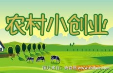 农村创业选什么小吃项目最赚钱？如何找准市场需求？