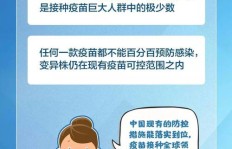 微信上能做的副业有哪些？你了解这些热门选择吗？