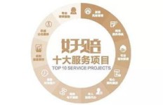 最美副业小草社区，究竟有何魅力吸引众人纷纷加入？