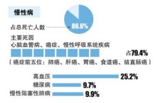 在山东农村，哪些行业最具赚钱潜力？