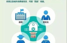 共享农庄如今能否实现盈利？投资前景如何？