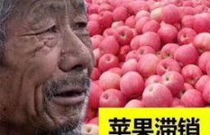 拼多多助力大爷现象，究竟是否属实？背后真相令人好奇！