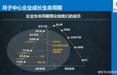 会所经营哪种项目能迅速盈利？求高回报策略！