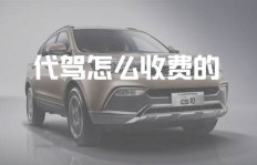 如何成功创办代驾公司并实现盈利？