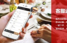 如何获取歺饮及餐饮公司的联系电话信息？