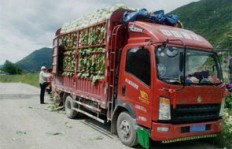 在一线城市开货车，真的能赚到钱吗？