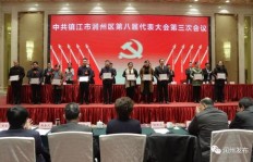 党代表身份是否属于社会兼职范畴？深入探讨其定义与界限