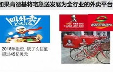 宠物乐园盈利捷径在哪？如何迅速实现财富增长？