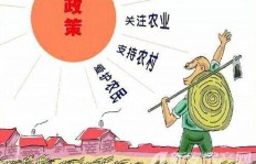 在苏北农村，哪些创业项目能带来丰厚收益？
