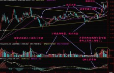 古琴艺术如何转化为经济收益？探索古琴市场的盈利之道