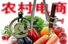 偏远农村如何通过买菜实现盈利？