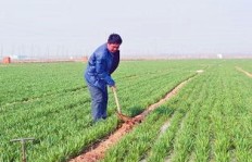 农村生活仅靠种地？农民是否另有生财之道？
