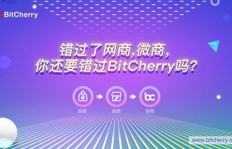 微商与网商究竟有何不同？深度解析两者的经营之道