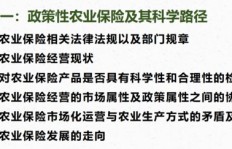 保险副业真的能带来额外收入吗？你了解其中的门道吗？