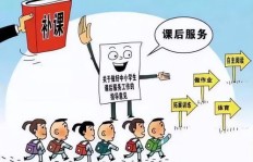 如何在家庭空地上实现创收？有哪些实用赚钱方法？