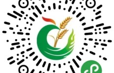 农民工如今靠什么途径实现收入增长？