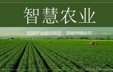 未来农村谁将成为种地赚钱的佼佼者？