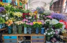 花店在这些节日里真的能赚大钱吗？哪些节日最火爆？
