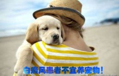 饲养宠物真的能带来经济收益吗？宠物赚钱的可能性探讨