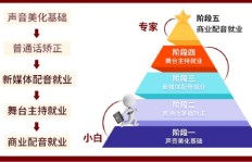 哪些应用化学副业值得尝试？专家推荐解析