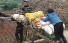 在农村路边捡拾哪些物品能最快速变现获利？