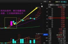 蚁丛官方盈利模式是怎样的？他们如何实现持续收益？