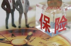 勐海茶厂副业背后隐藏着怎样的经营策略？